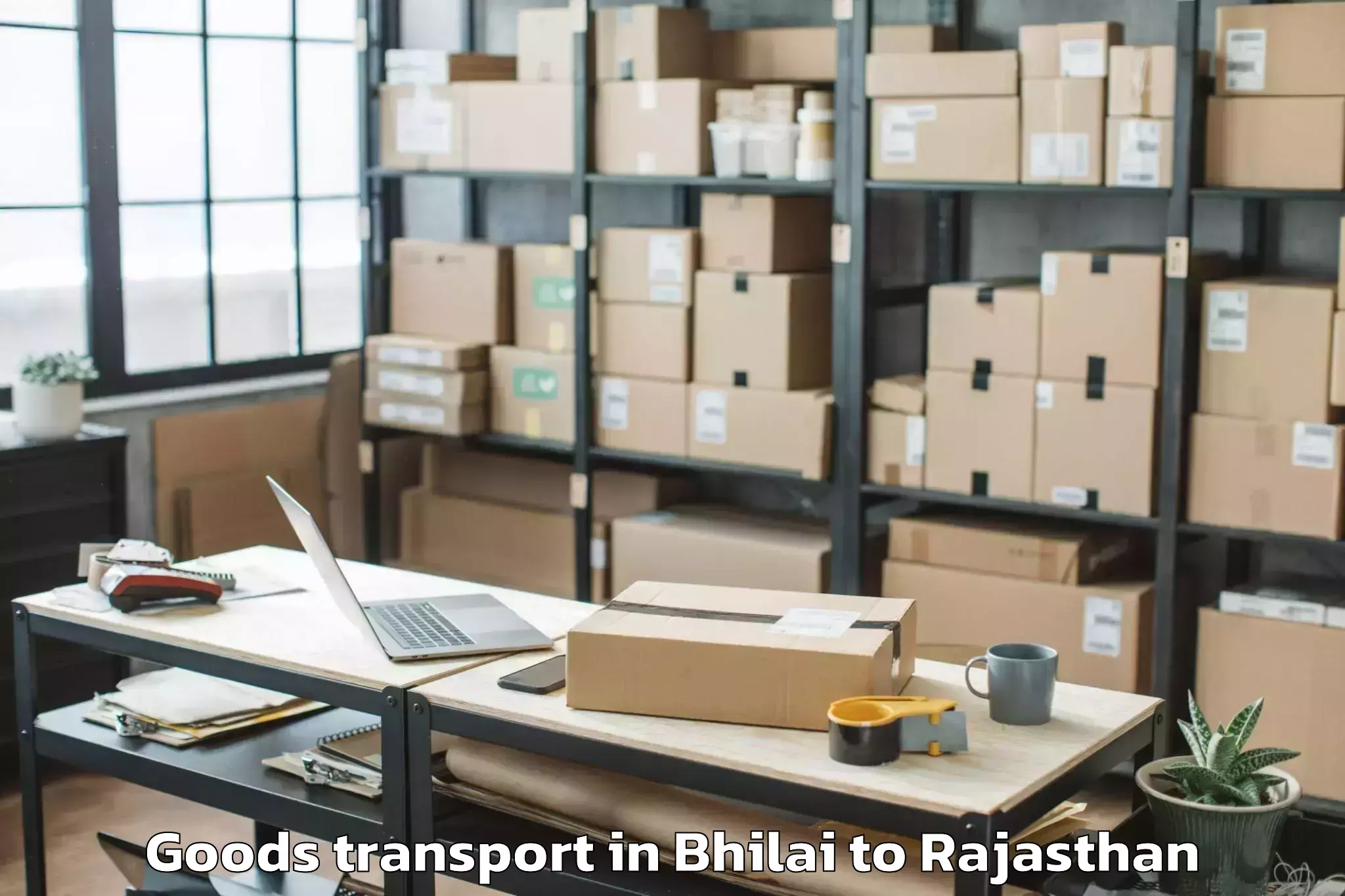 Efficient Bhilai to Kaman Goods Transport